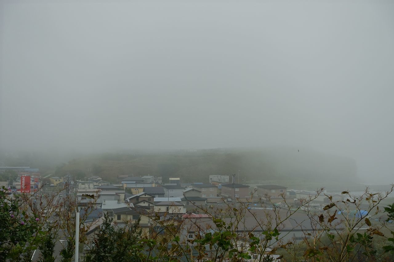 f:id:HIDE_Verdad:20210922222618j:plain