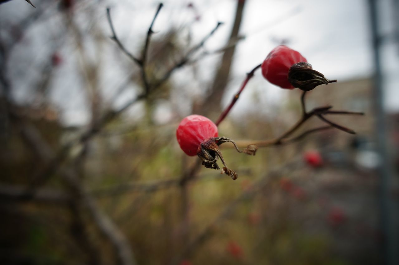 f:id:HIDE_Verdad:20211022230537j:plain