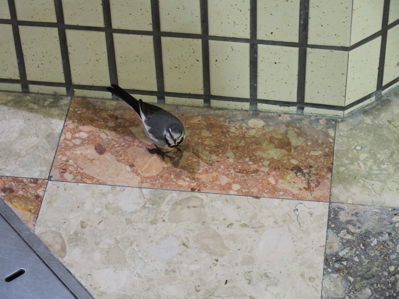 f:id:HIDE_Verdad:20220102230440j:plain