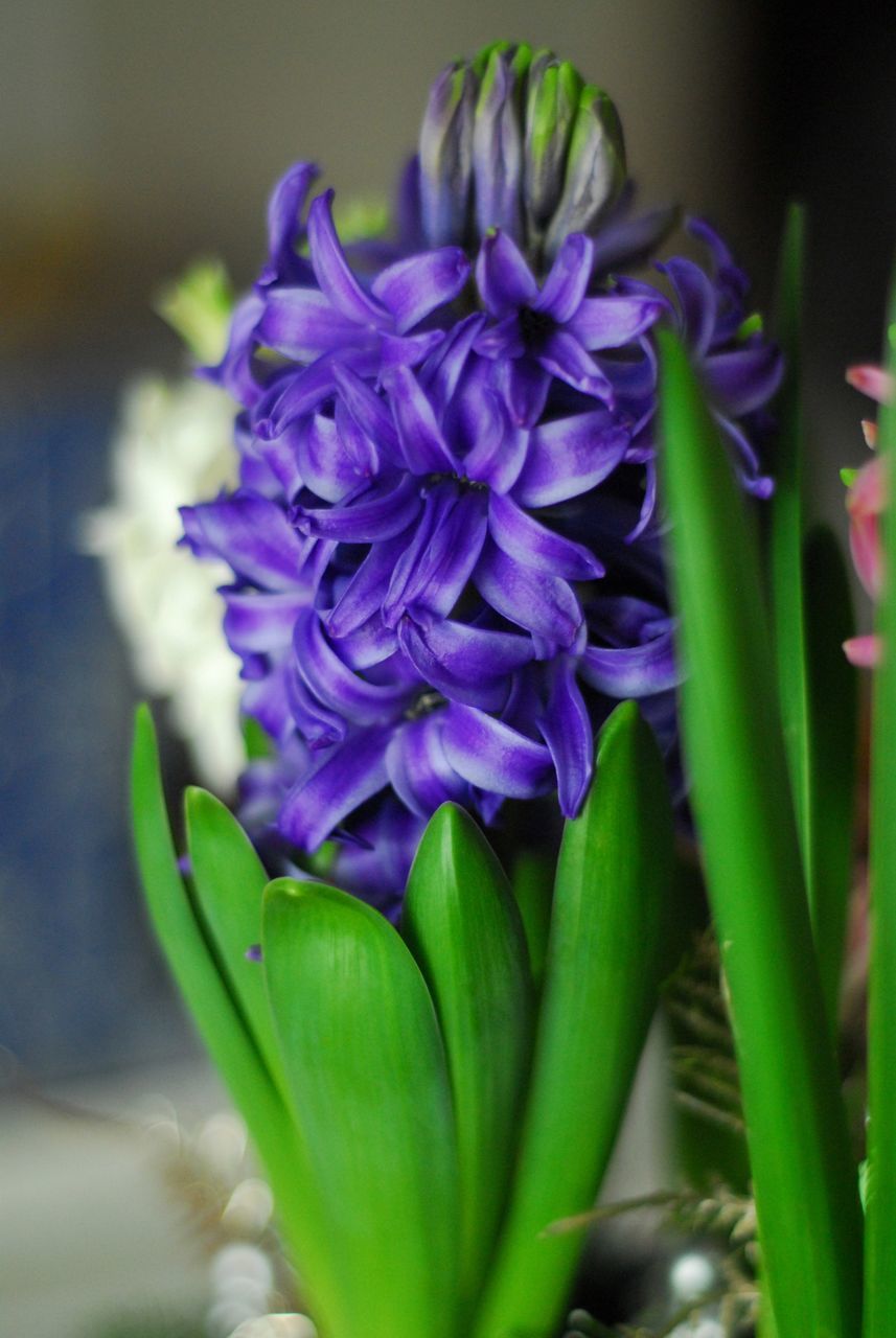 f:id:HIDE_Verdad:20220103224929j:plain