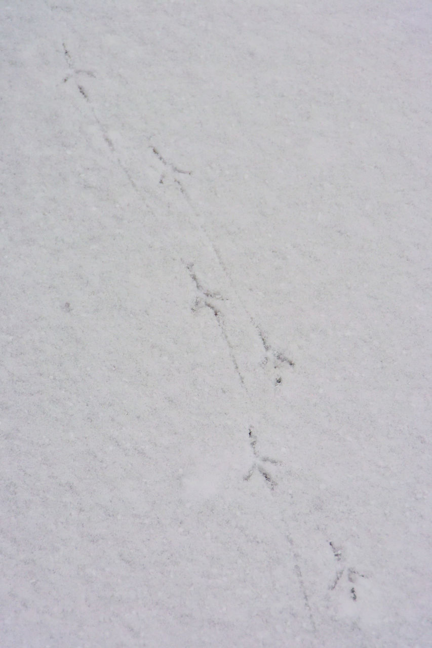 f:id:HIDE_Verdad:20220105233116j:plain