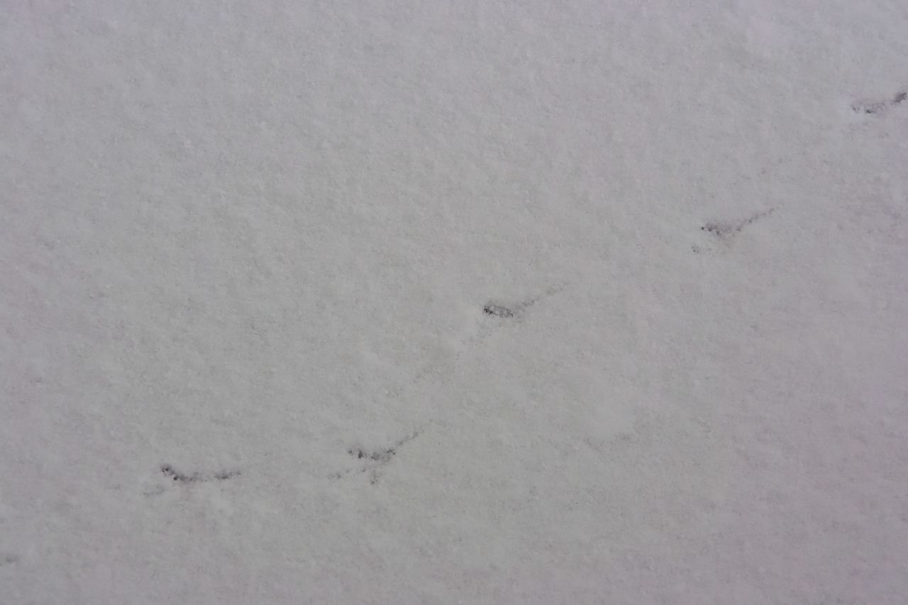 f:id:HIDE_Verdad:20220105233128j:plain