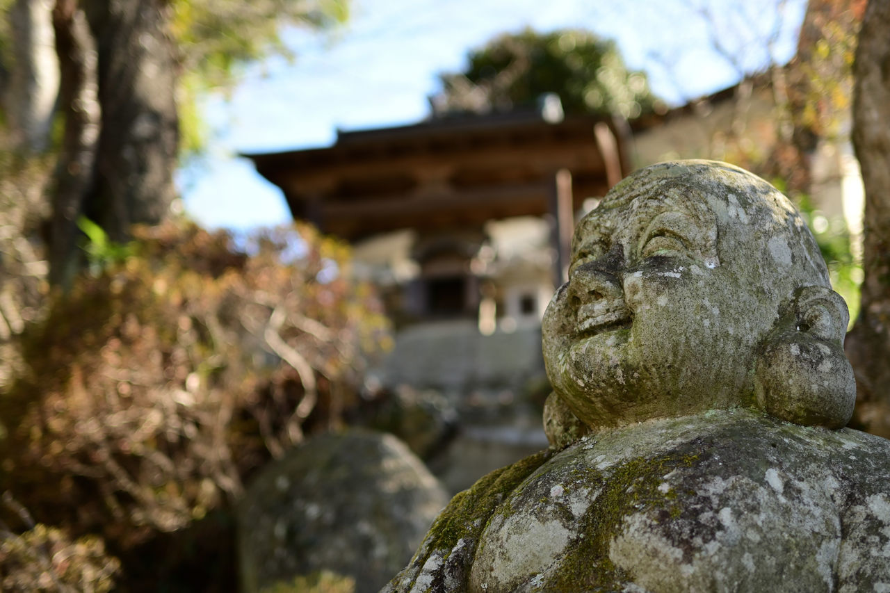 f:id:HIDE_Verdad:20220110230102j:plain