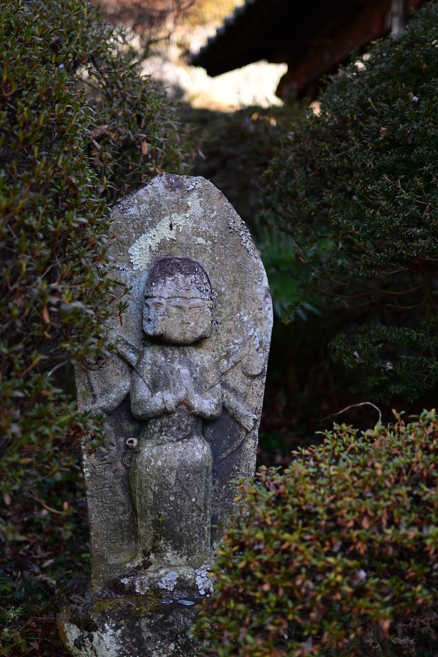 f:id:HIDE_Verdad:20220110230116j:plain