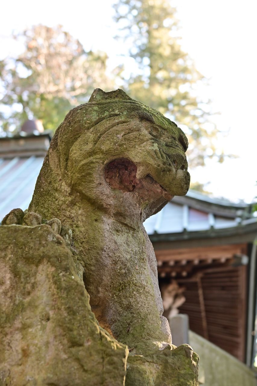 f:id:HIDE_Verdad:20220110230314j:plain