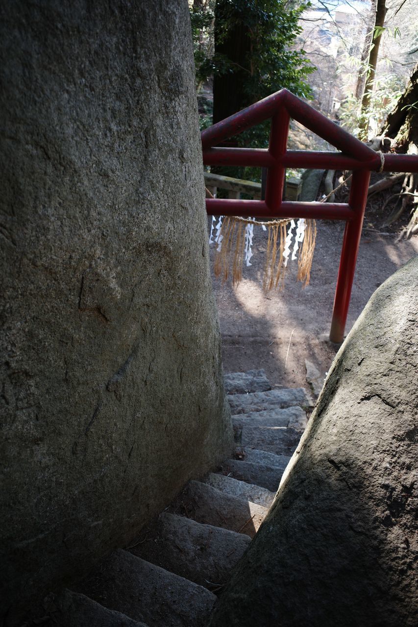 f:id:HIDE_Verdad:20220110230341j:plain