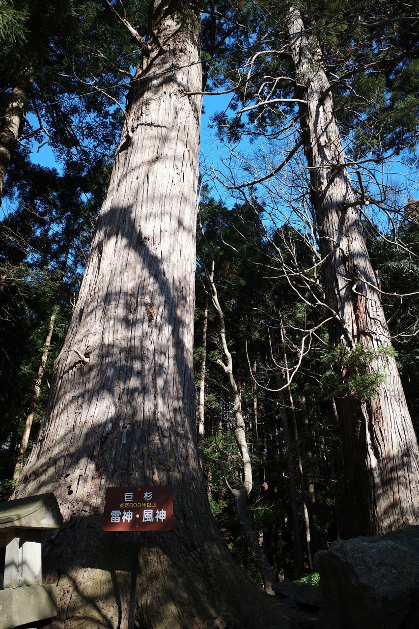 f:id:HIDE_Verdad:20220110230435j:plain