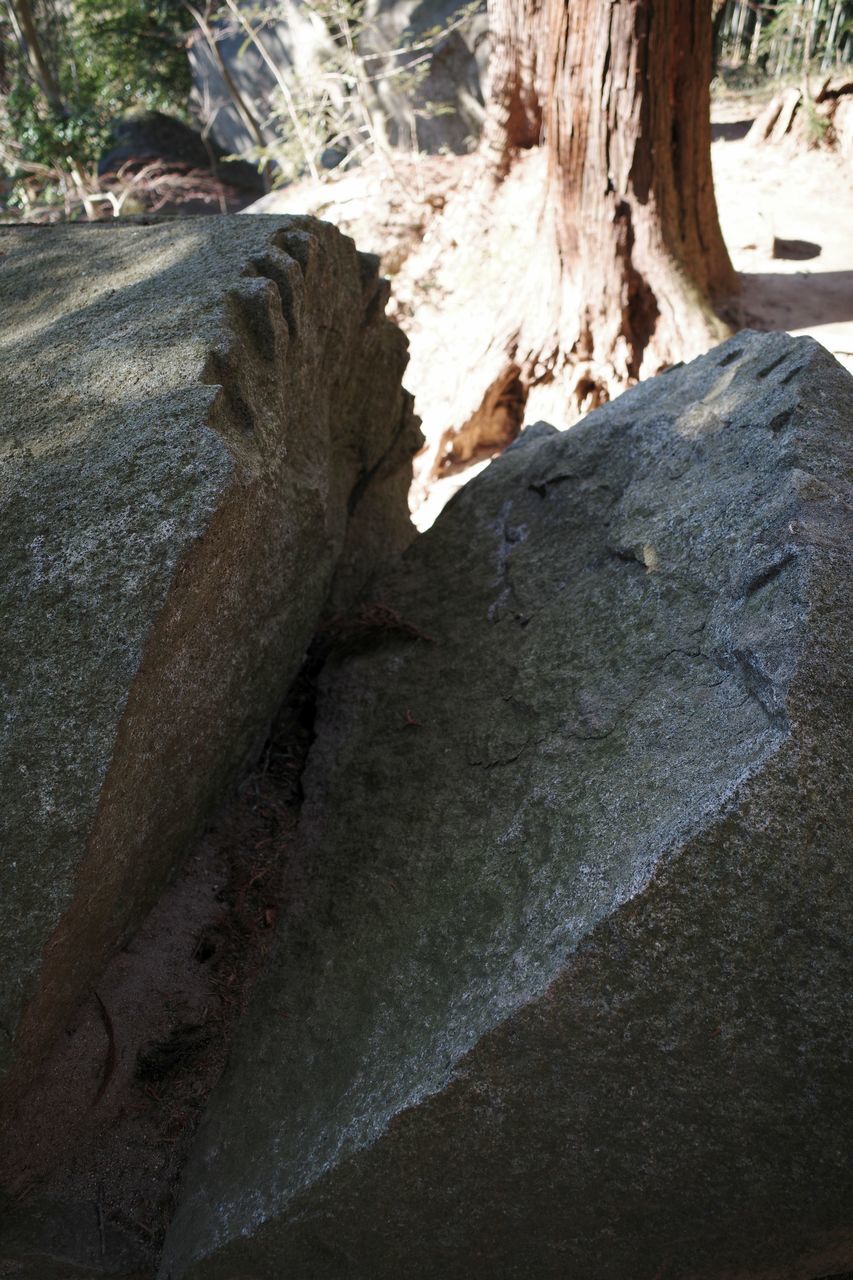 f:id:HIDE_Verdad:20220110230449j:plain