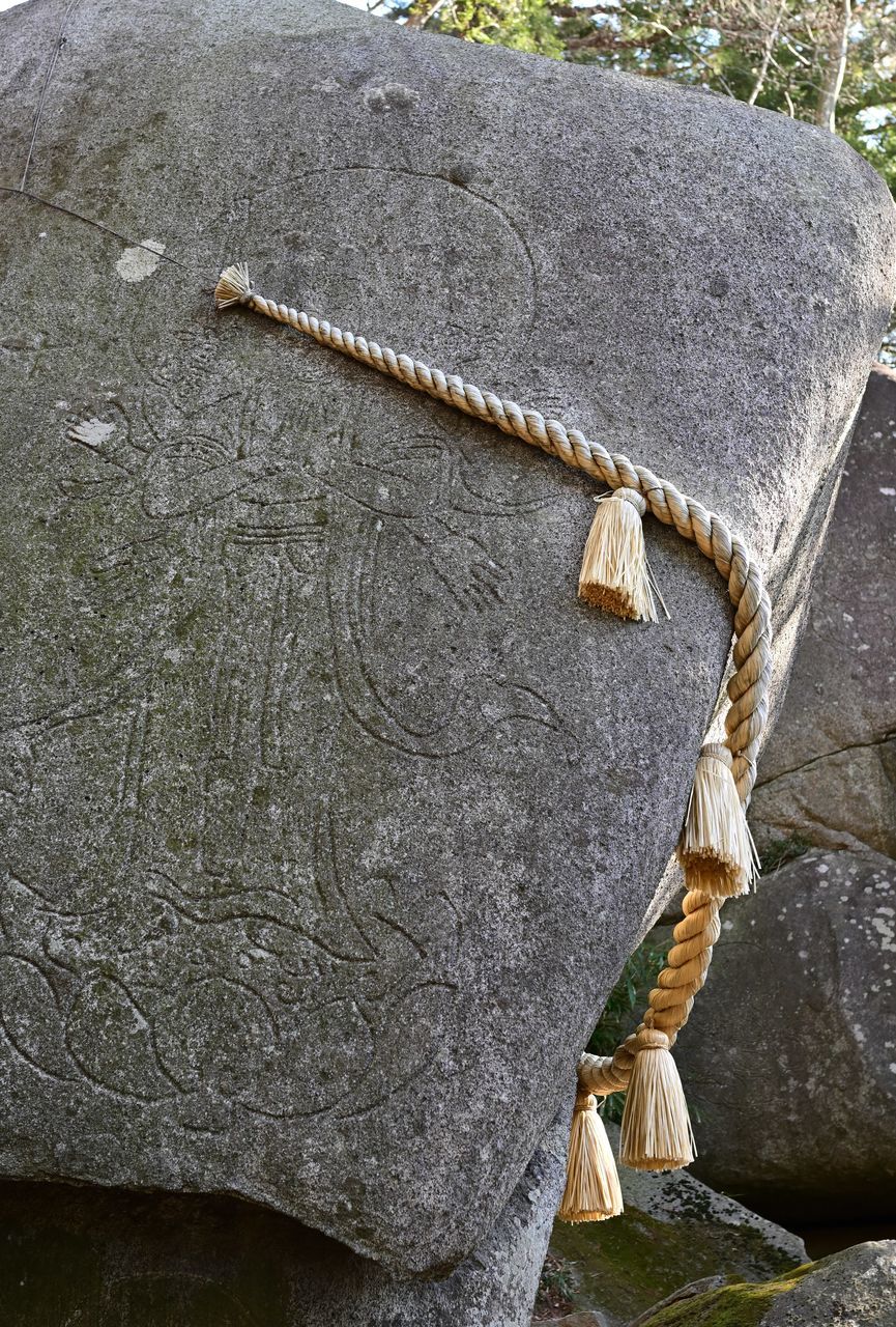 f:id:HIDE_Verdad:20220110230503j:plain