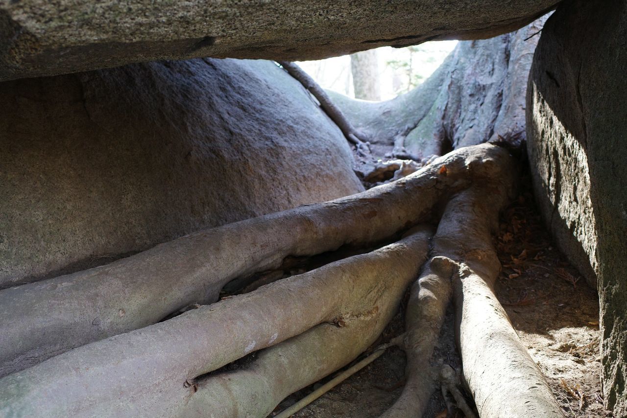 f:id:HIDE_Verdad:20220110230718j:plain