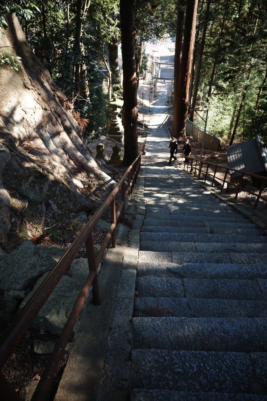 f:id:HIDE_Verdad:20220110231038j:plain