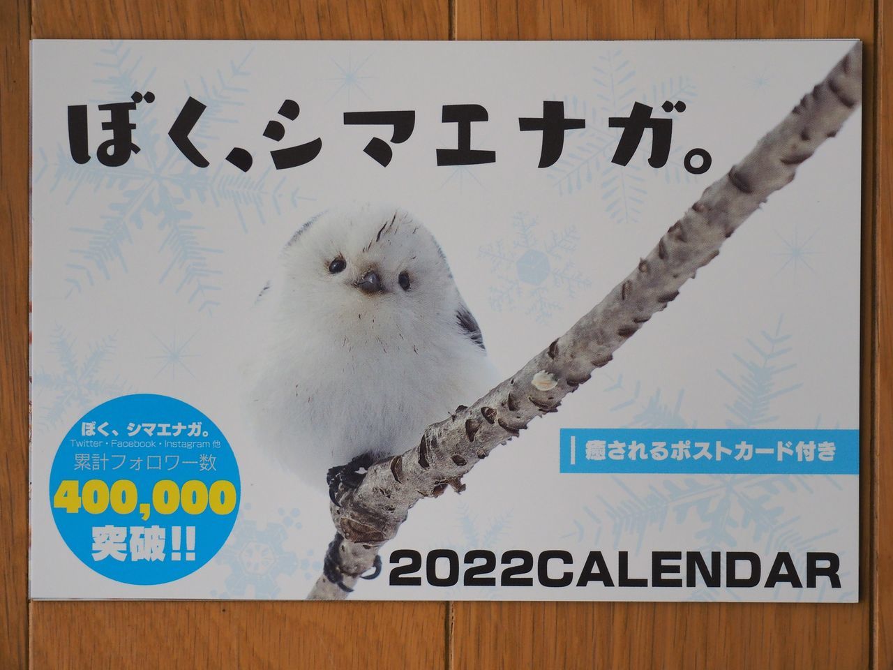 f:id:HIDE_Verdad:20220113230538j:plain