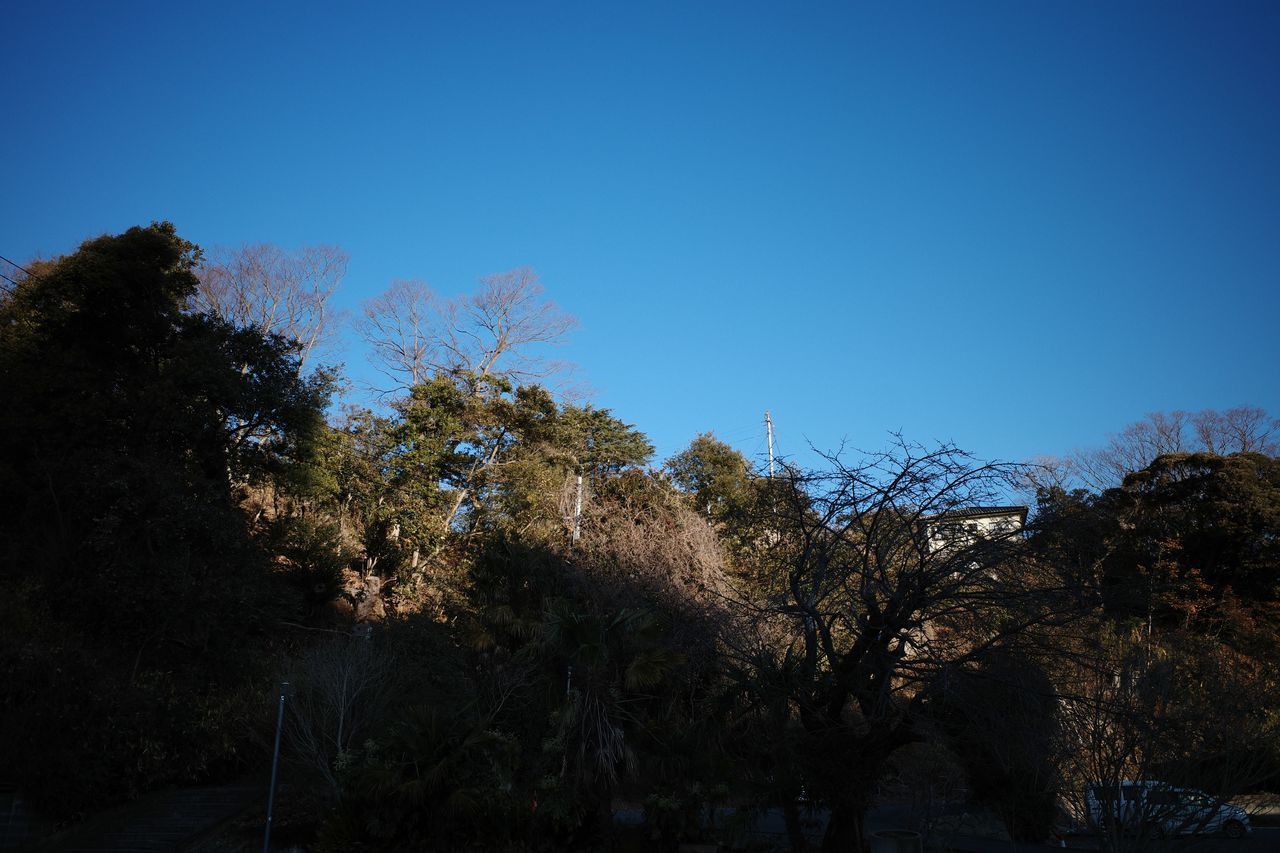 f:id:HIDE_Verdad:20220120225348j:plain