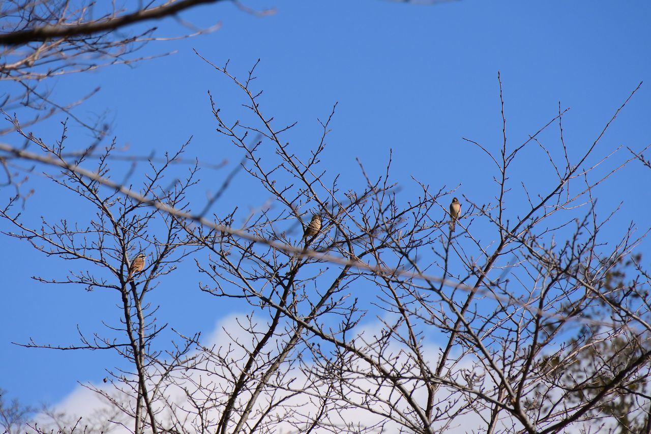 f:id:HIDE_Verdad:20220121224037j:plain