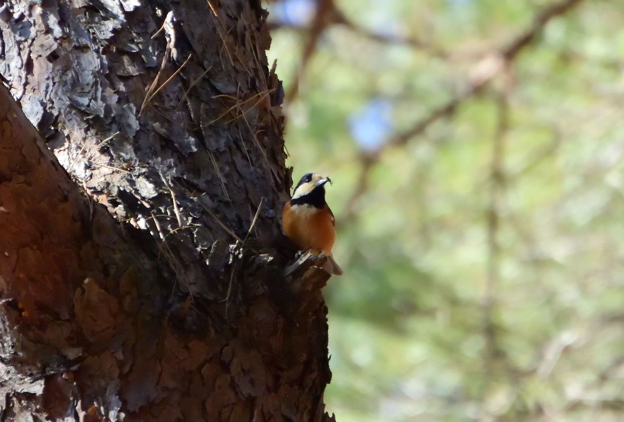f:id:HIDE_Verdad:20220202222938j:plain