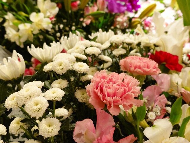 f:id:HIDE_Verdad:20240308214401j:image