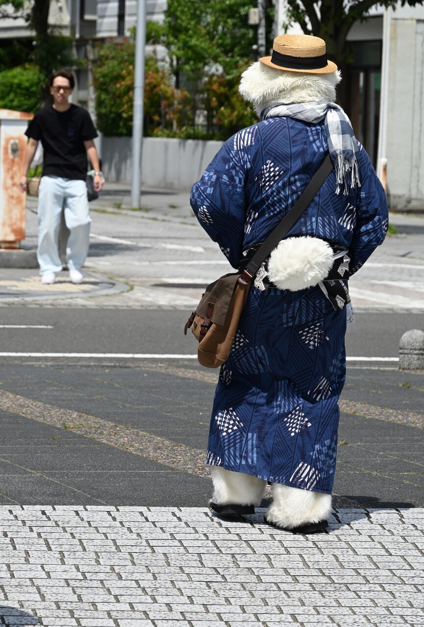 着物姿のシロクマ他 - 日々是煩悩日記其の弐
