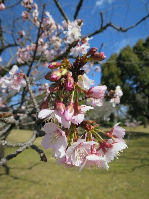 f:id:HIDE_Verdad:20250218204540j:image