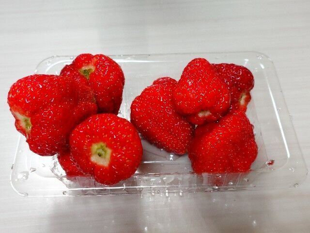f:id:HIDE_Verdad:20250420002342j:image