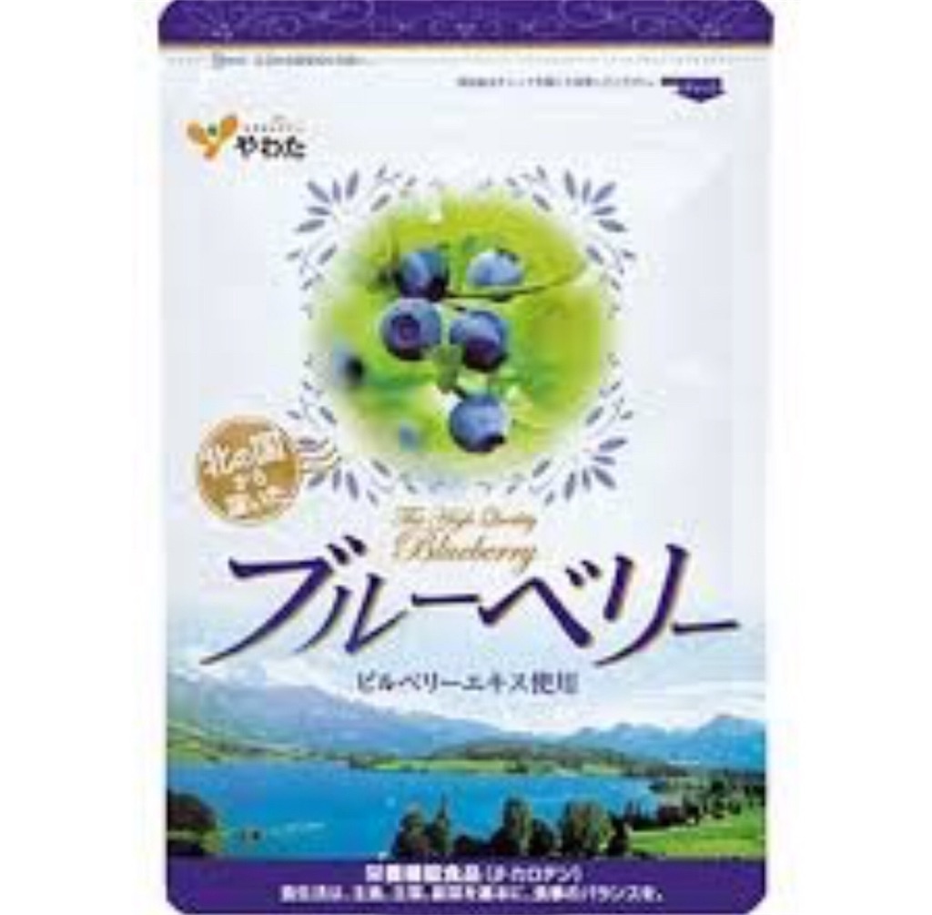 f:id:HIGECAMLABO:20190329224049j:image