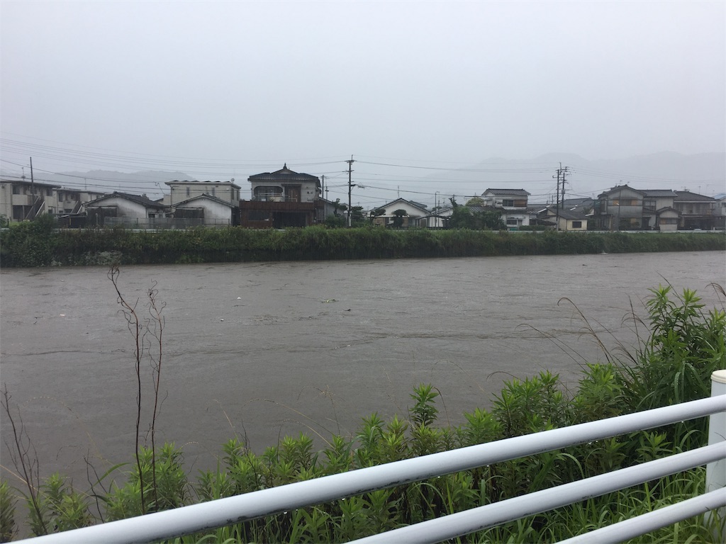 f:id:HIGECAMLABO:20190725224605j:image