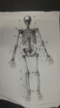 20110921215607