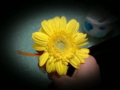 20130314200343
