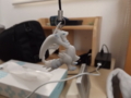 20161210111855
