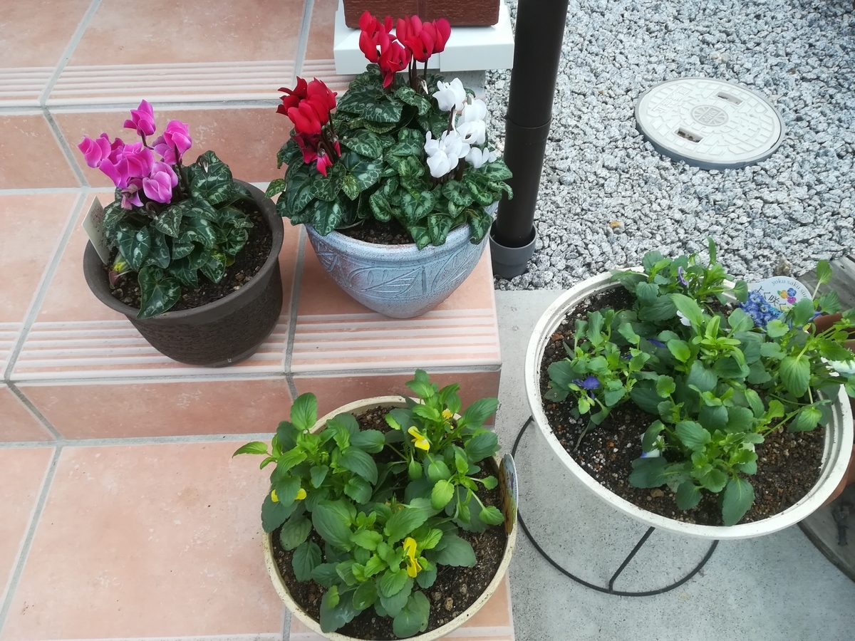 f:id:HIKAGEN:20191009112453j:plain f:id:HIKAGEN:20191009112453j:plain
