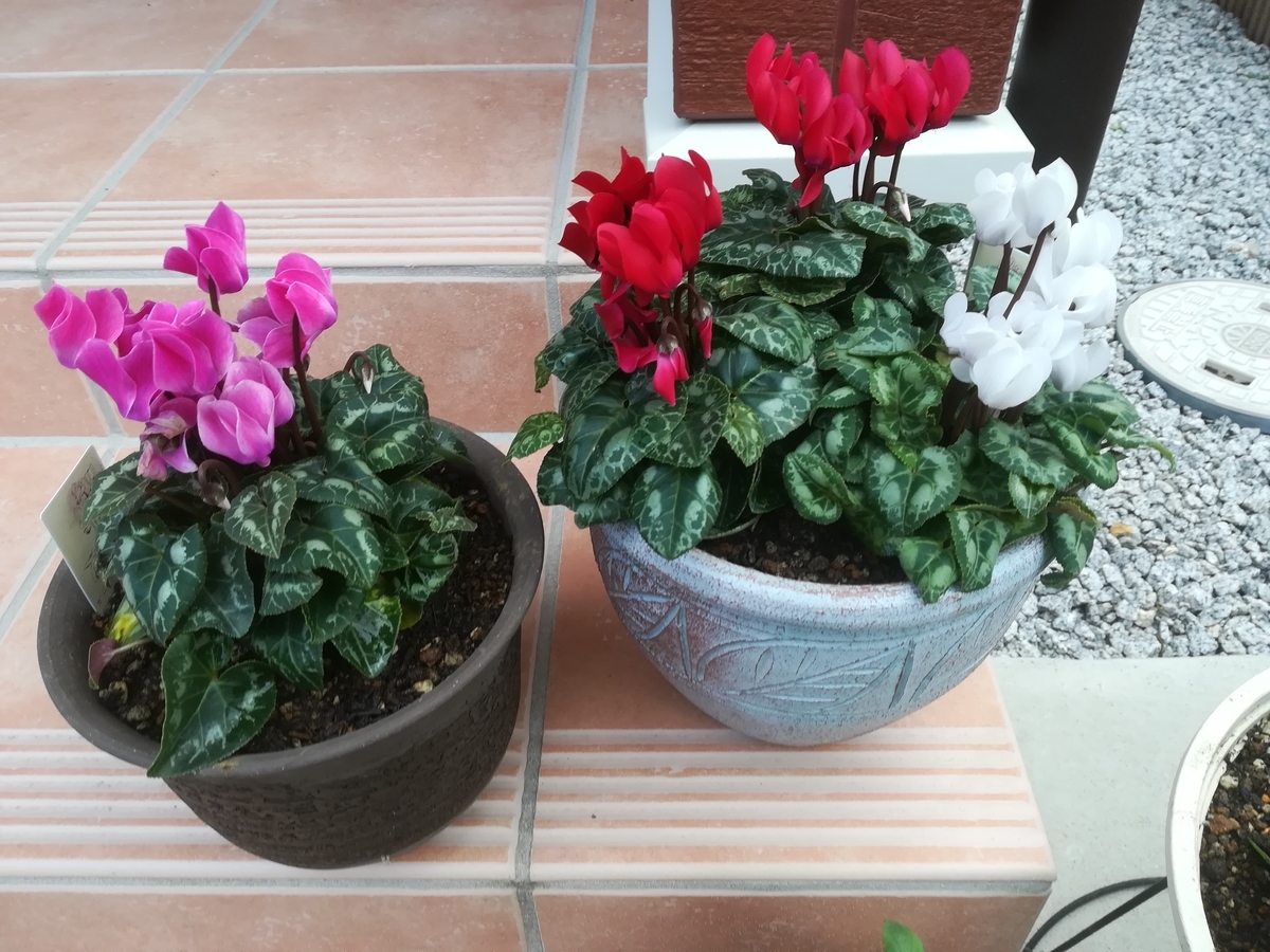 f:id:HIKAGEN:20191009112455j:plain f:id:HIKAGEN:20191009112455j:plain