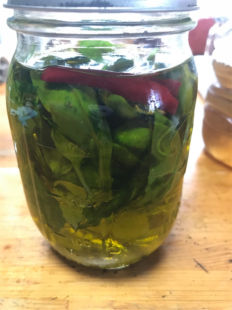 f:id:HIM-aqua:20190616205029j:image f:id:HIM-aqua:20190616205029j:image
