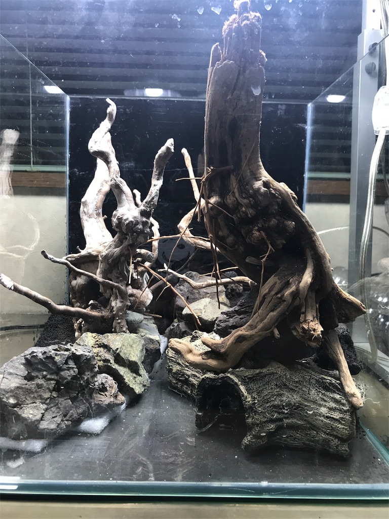 f:id:HIM-aqua:20190630213604j:image