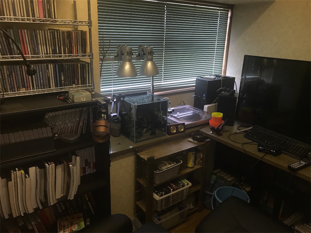 f:id:HIM-aqua:20190707214222j:image