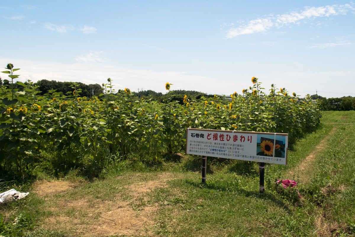 f:id:HIRO-C:20190716195424j:plain