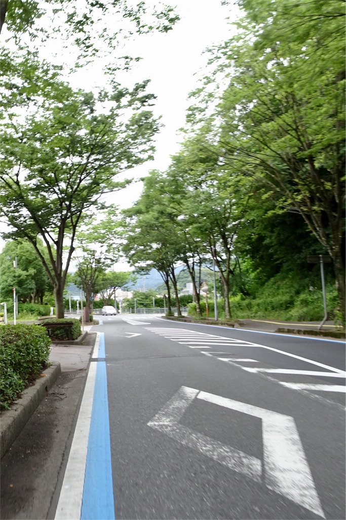f:id:HIRO32C:20180618074157j:image f:id:HIRO32C:20180618074157j:image