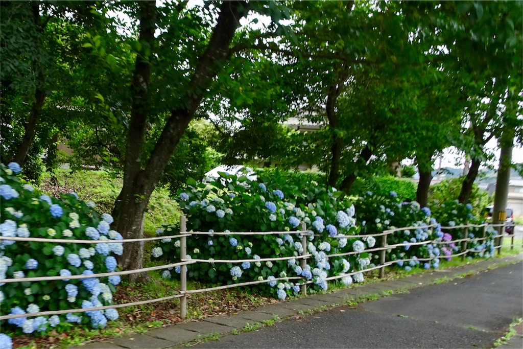 f:id:HIRO32C:20180618074206j:image f:id:HIRO32C:20180618074206j:image