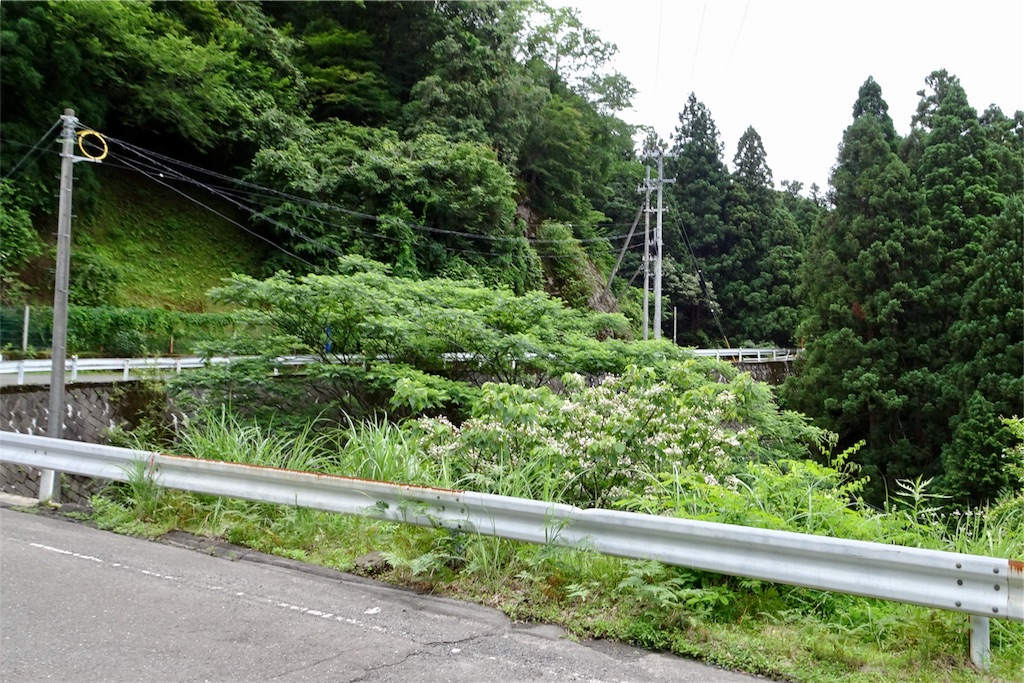 f:id:HIRO32C:20180618074322j:image f:id:HIRO32C:20180618074322j:image