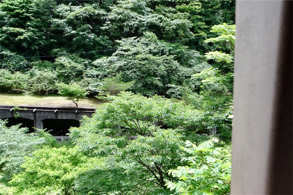 f:id:HIRO32C:20180618074551j:image f:id:HIRO32C:20180618074551j:image
