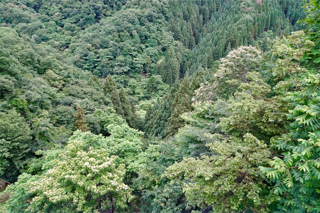 f:id:HIRO32C:20180620073619j:image f:id:HIRO32C:20180620073619j:image
