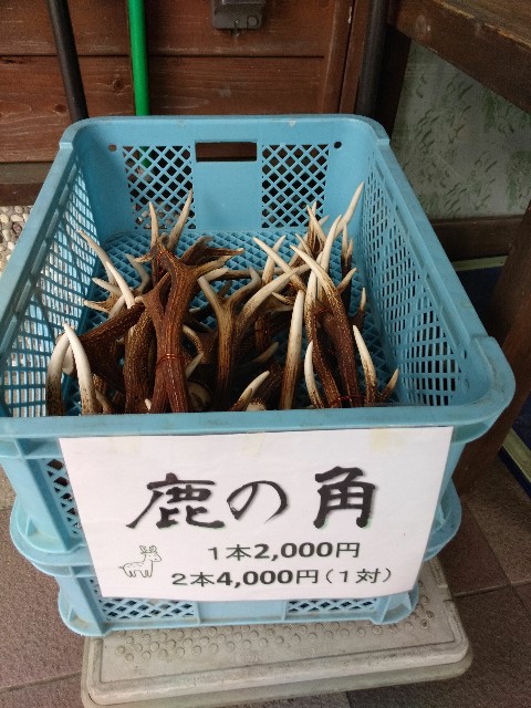 f:id:HIRO32C:20180620083928j:plain f:id:HIRO32C:20180620083928j:plain
