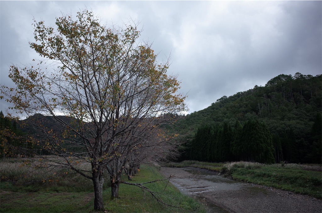 f:id:HIRO32C:20181009183736j:image f:id:HIRO32C:20181009183736j:image