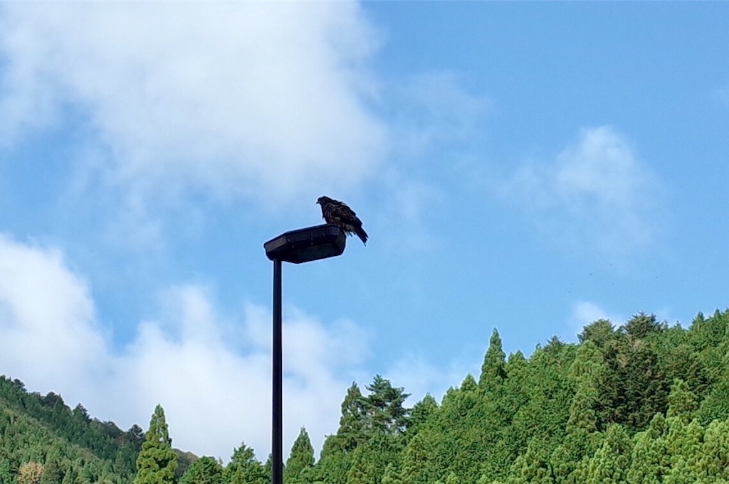 f:id:HIRO32C:20181009184144j:image f:id:HIRO32C:20181009184144j:image