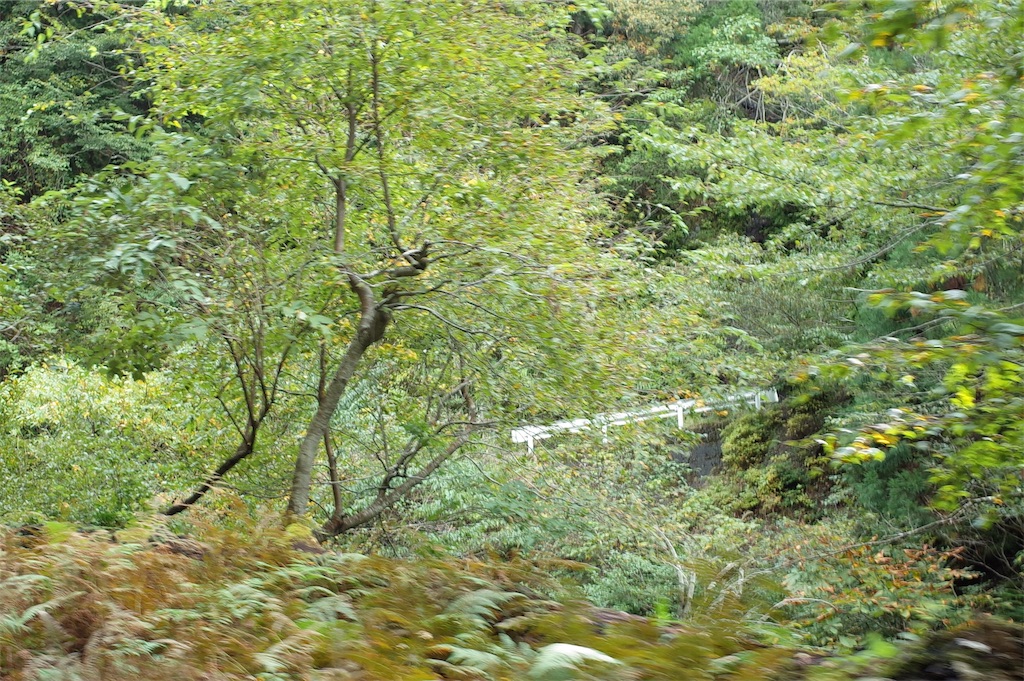 f:id:HIRO32C:20181009184346j:image f:id:HIRO32C:20181009184346j:image