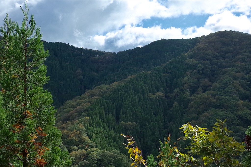 f:id:HIRO32C:20181009184547j:image f:id:HIRO32C:20181009184547j:image