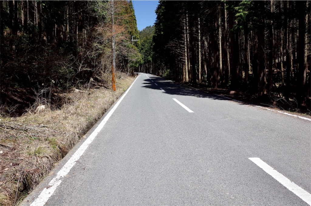 f:id:HIRO32C:20190422075341j:image f:id:HIRO32C:20190422075341j:image