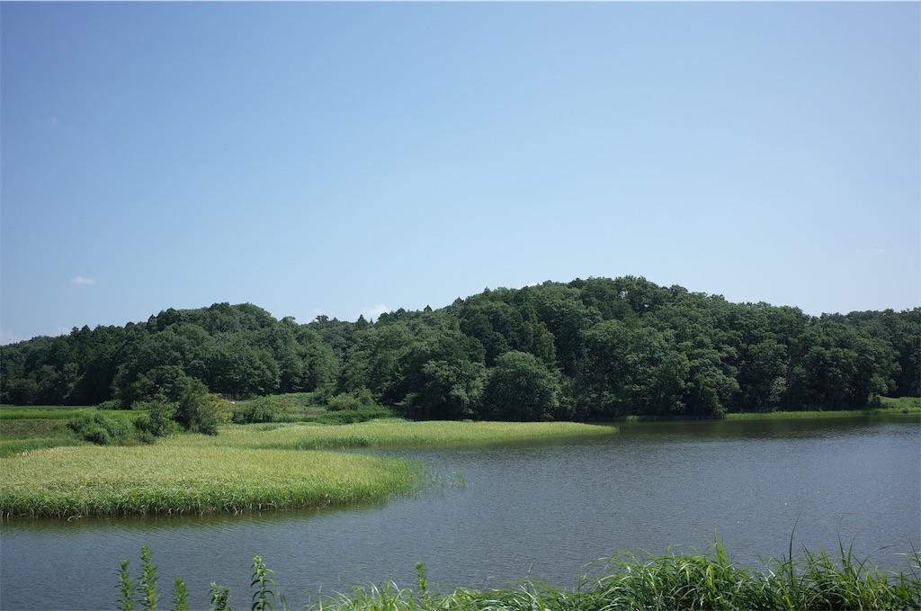 f:id:HIRO32C:20190820074856j:image f:id:HIRO32C:20190820074856j:image