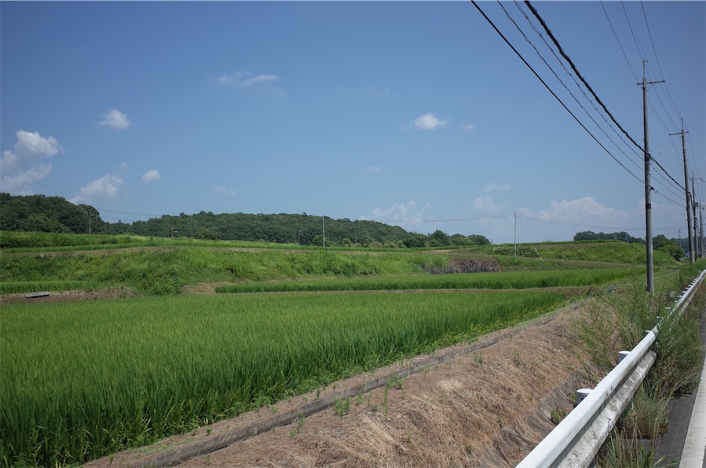 f:id:HIRO32C:20190820074922j:image f:id:HIRO32C:20190820074922j:image