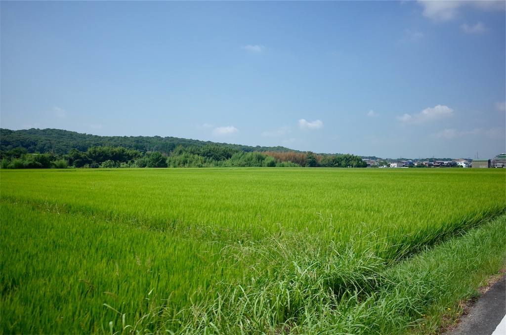 f:id:HIRO32C:20190820075108j:image f:id:HIRO32C:20190820075108j:image
