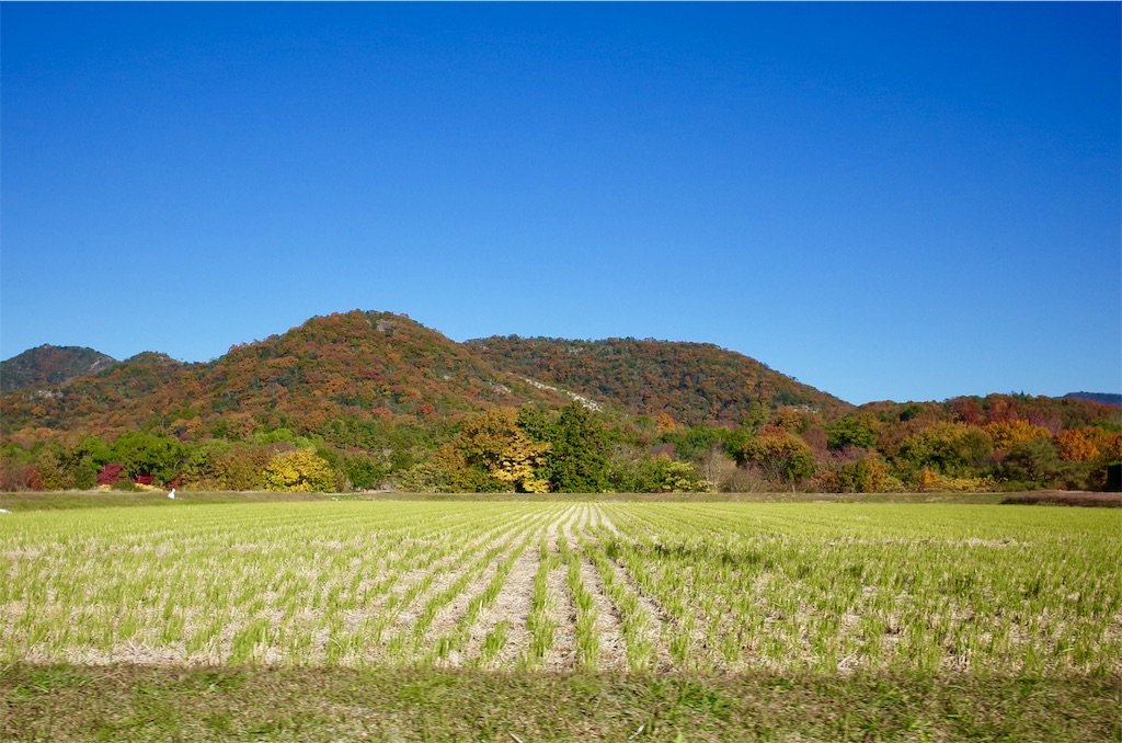 f:id:HIRO32C:20191125075855j:image