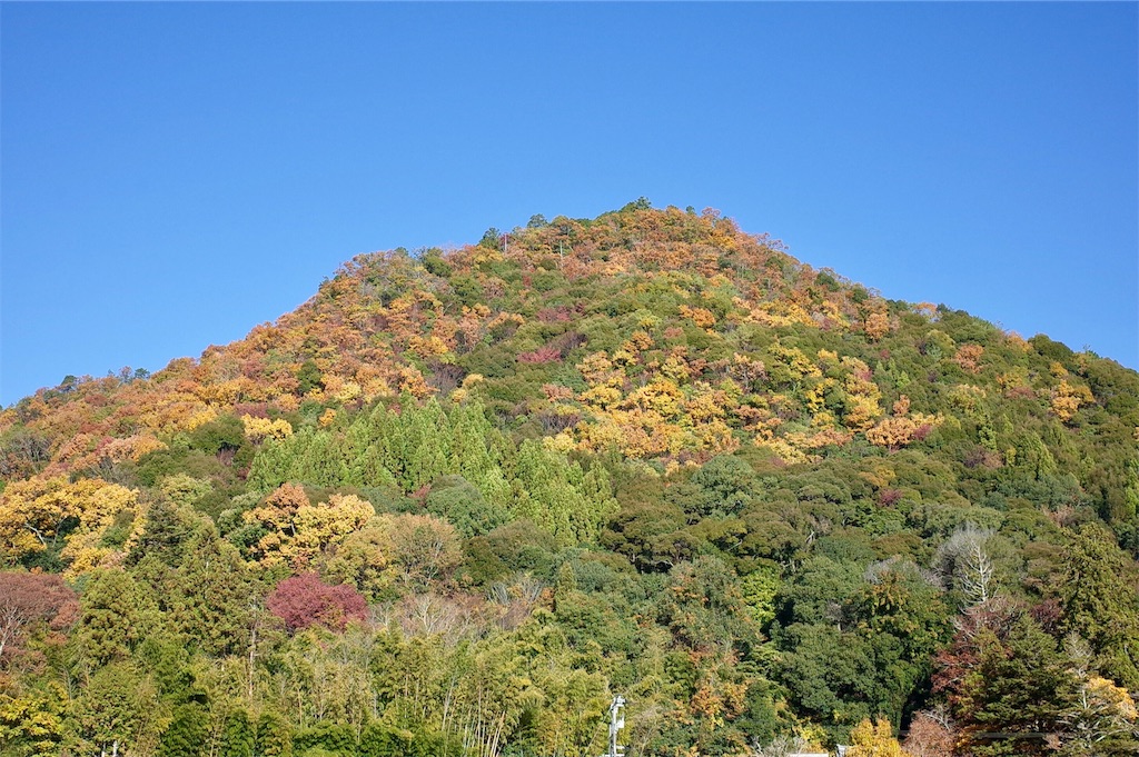 f:id:HIRO32C:20191125080021j:image